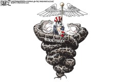 medical-fraud
